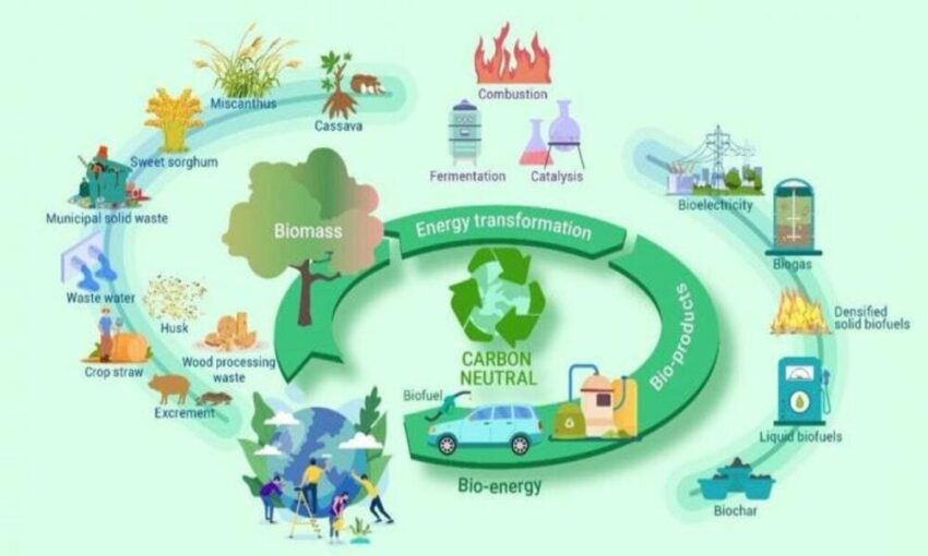 Bioenergi Dari Limbah Organik Solusi Berkelanjutan Untuk Energi Dan Lingkungan