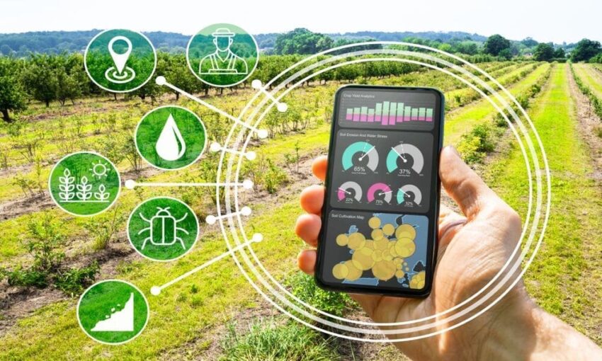 IoT Untuk Pertanian Cerdas Meningkatkan Efisiensi Dan Produktivitas